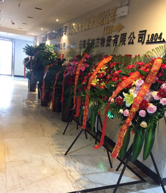 安徽京金吾高科技有限公司在合肥盛大開業
